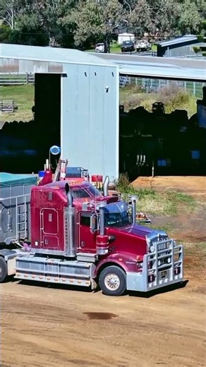 This Is How Forests Are Destroyed in Australia #chaining #forest #australia