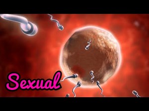 Sexual Reproduction in Tamil