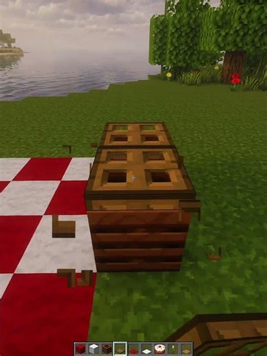 Minecraft Park Picknick💀 (World Smallest Violin)