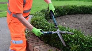 What Are The Reasons To Choose The Best Company For Grounds Maintenance?