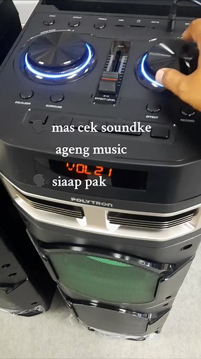 Review Speaker Polytron Pas 10DF28 dan Cek Sound