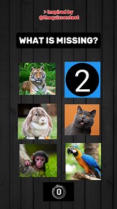 Only 1% can pass this animal memory test challenge! ‎#AnimalQuiz #MemoryTest #GuessTheAnimal #AnimalChallenge #SmartAnimals #MemoryQuiz #AnimalIQ #BrainChallenge #FunQuiz #interactivequiz | Wouldyouflip