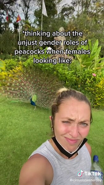 It’s time to rise up women #animalsurvival