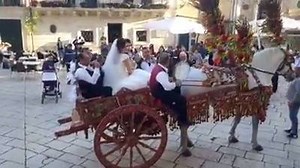 26K views · 558 reactions |  Sicilian Wedding   Join Us & Enjoy Italy  Sign up on https://www.facebook.com/ItalyFoodMagazine | Italy Food Magazine | Facebook