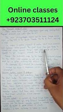 🌱 Why Do Plants Need Transport Systems? | O & A Level Biology