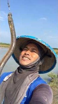 mancing belut mania #fishing #skiils