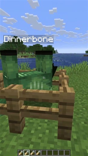 Must-Try Nametags In MInecraft