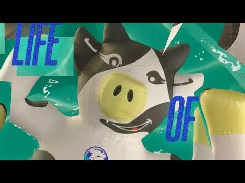 Alpura Vaquita Roblox