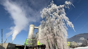 hoar frost on tree and district heating plant