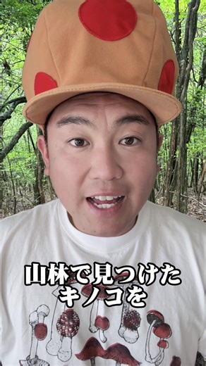 本当にあった毒キノコ食中毒事故#食中毒 #注意喚起 #毒キノコ