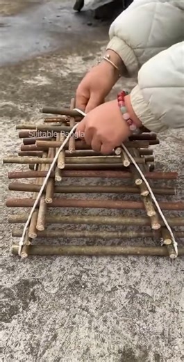 বেঁচে থাকার কৌশল আঠা ছাড়া পিরামিড ফাঁদ তৈরি করা | Survival Skills