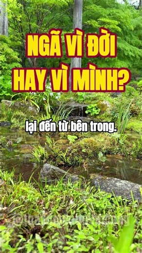 No one can bring you down… except yourself.