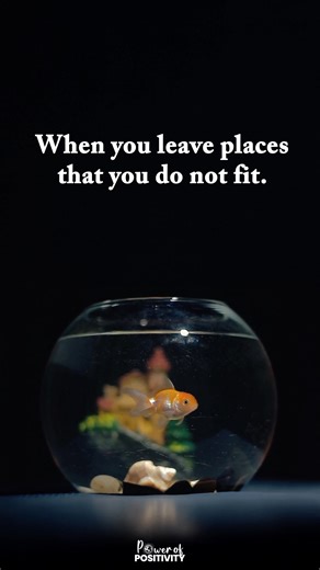 2.6M views · 32K reactions | Sometimes it’s not you, it’s the environment.  All it takes is a bigger bowl to see your true size. ✨ | Power of Positivity | Facebook