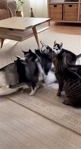 When you accidentally start a war and call the squad 💀 #shorts