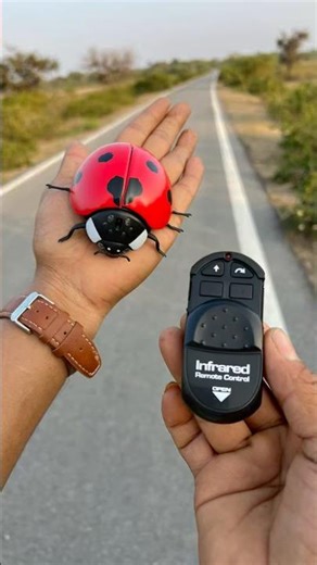 Remote Controlled Lady Bug