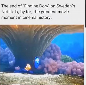 The end of 'Finding Dory' on Sweden's Netflix is, by far, the greatest movie moment in cinema history. - iFunny