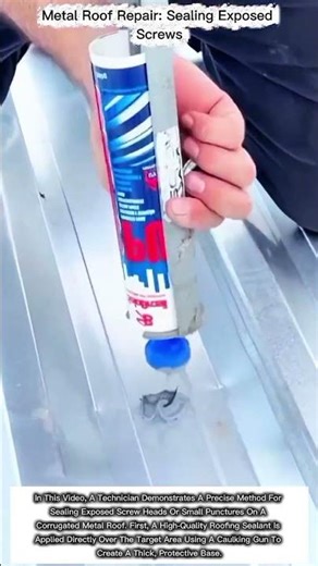 Metal Roof Repair: Sealing Exposed Screws