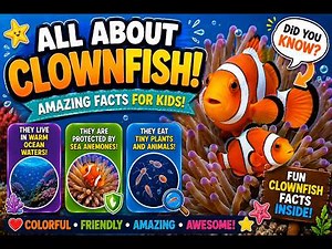 The Colorful Life of Clownfish