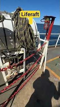 Life saving life raft launching procedure #liferaft#lifeboat#merchantnavy Navy#viral#trending#