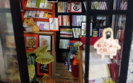 [迷你小屋DIY]用23小时打造属于自己的书店，快来光临我的书店吧（智趣屋的学海无涯小屋制作/房子DIY）