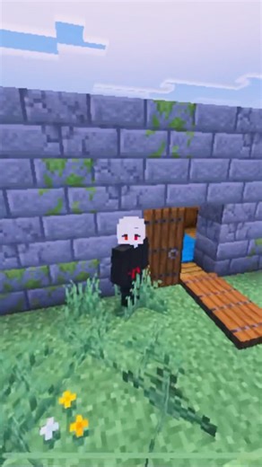 How to decorate a door in a house #minecraft #minecraftshorts #doors #shorts #fyp #minecraftbuilding