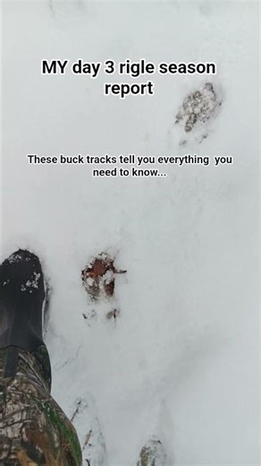 MY day 3 rifle season report.