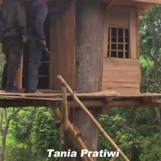 296K views · 6.3K reactions | These two young men worked together to build a very tall tree house and equipped it with a ladder to make it easy to climb | Tania Pratiwi | Facebook