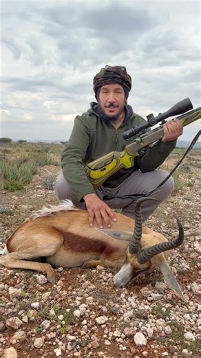 Hunting Copper Springbok in the Kalahari Desert, South Africa
