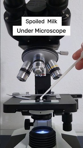 Milk Under the Microscope