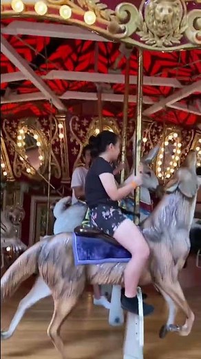 Wildlife Safari Zoo Animal Carousel Part 2