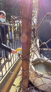 Monkey cute Amazing 👋 🤑 #adorablemonkey #monkeys #squirrelmonkey #meme #monkeysreels #baby #FacebookReelsContest #monkeycute #animals #adsonreels #monkeyfyp #MonkeyLife #spidermonkey #monkey #Animals #Nature #nakedmonkey #babymonkey #Motivation #fyp #abandonedmonkey #monkeyfamily #monkeycute #monkey #monkeyslife #monkeybaby #cutebabymonkey | Frame Calm