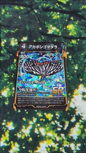 【蟲神器】第8弾追加発表カード速報③アカボシゴマダラ＆アカボシゴマダラ幼虫 #蟲神器 #DAISO #わかむしちゃんねる