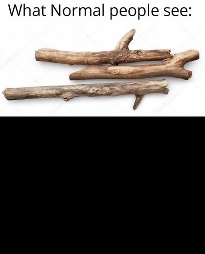 Exploring Childhood Memes: A Nostalgic Journey