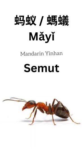 Serangga Dalam Bahasa Mandarin untuk Anak-anak