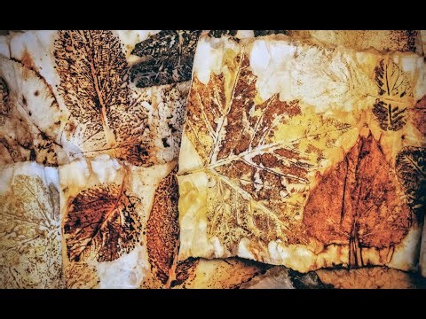 Eco Prints Leaves on Paper: Unbundling Autumn Leaf Prints