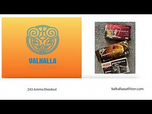 .243 Ammo head to head: Federal Fusion, Hornady Superformance, Norma Whitetail