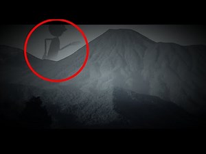 cartoon cat CAUGHT ON CAMERA AND SPOTTED ON A MOUNTAIN