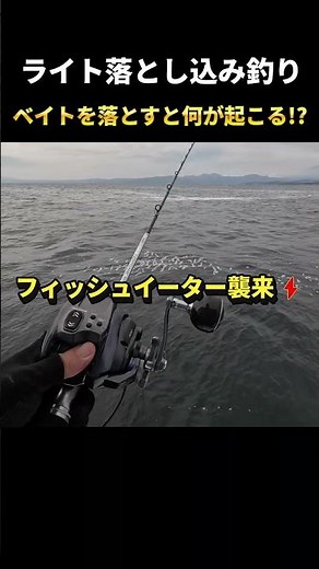 ライト落とし込み釣りで大物ゲット！？