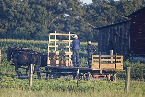 Amish Advice Page - Amish of Ethridge