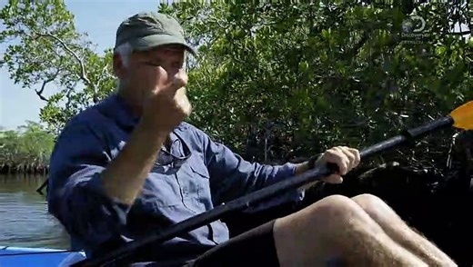 River Monsters 8 - Razorhead