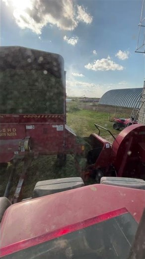 Unloading silage in to the silage blower