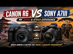Canon R6 vs Sony A7III: My Japan & Africa Experience