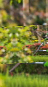 3K views · 48 reactions | Where can I sign my employment contract? 沈 #gardener #billionaire #rich unique.planet | unique.planet | Facebook