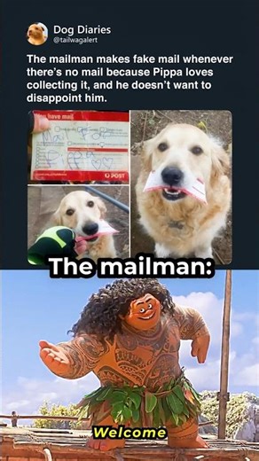 Mailman wholesome moment 🐶✉️