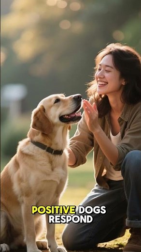 Easy Dog Tricks for Beginners (Learn in Minutes!)