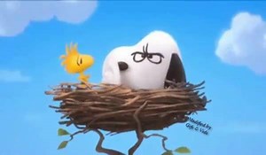 22K views · 109 reactions | Snoopy shushes Woodstock for waking him up so early yet again. | Gifs, Vids & Music Etc | Facebook