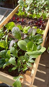 1.6M views · 95K reactions | One of my favourite additions to the...