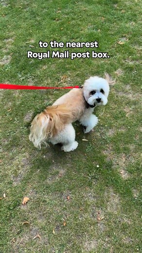 Sending parcels doesn’t need to be a mission. You can send or return from a postbox. It has never been easier. | Royal Mail