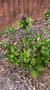 240K views · 642 reactions | I know there are approximately 500...