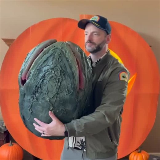 Matt Rendar on Instagram: "“Alien Egg” costume complete 😂 Had a blast with it at the annual Family Halloween party. A great idea discovered at the awesome @evilted_channel . Hope everyone’s having a great weekend so far, enjoy the day 🎃👻 #alien #halloween #xenomorph #costume #battletribe"